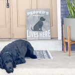 Pet Family Lives Here - 20x24