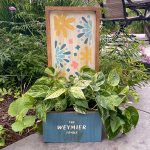 Floral Family Small Planter
