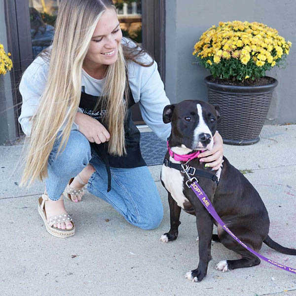 Bnb employee petting a dog